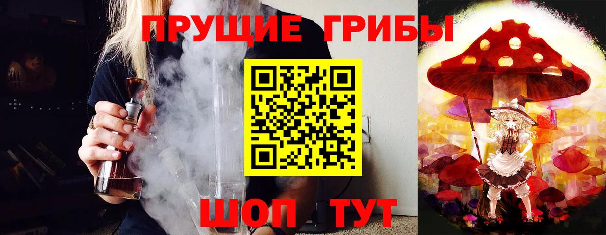 Тобольск  Псилоцибиновые грибы Cubensis  Псилоцибиновые грибы Cubensis  Вход с VPN 